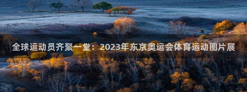 MK体育官网下载平台APP:全球运动员齐聚一堂:2023年东