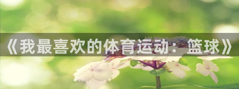 MK体育官方正版app代理:《我最喜欢的体育运动:篮球》